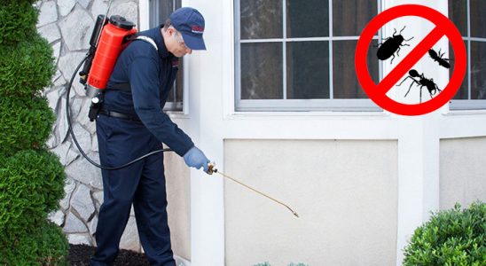 Keskin Kemirgen İlaçlama böcek ilaçlama ve haşere kontrolü — ilaclama-tr.com